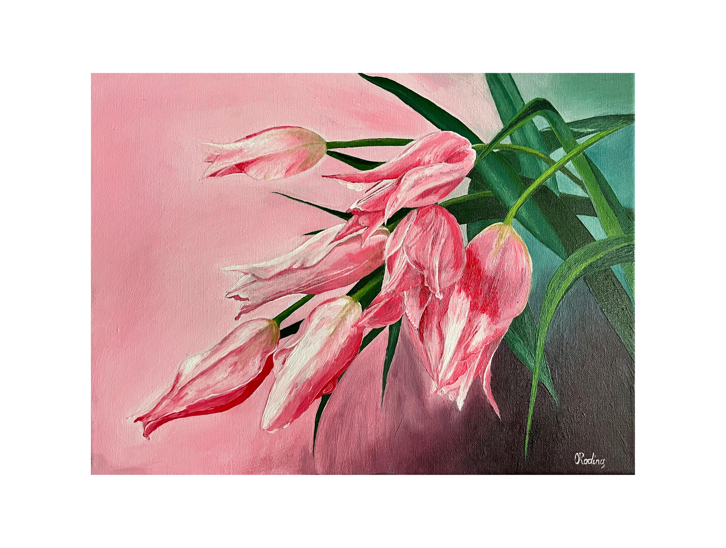 Holländische Tulpen