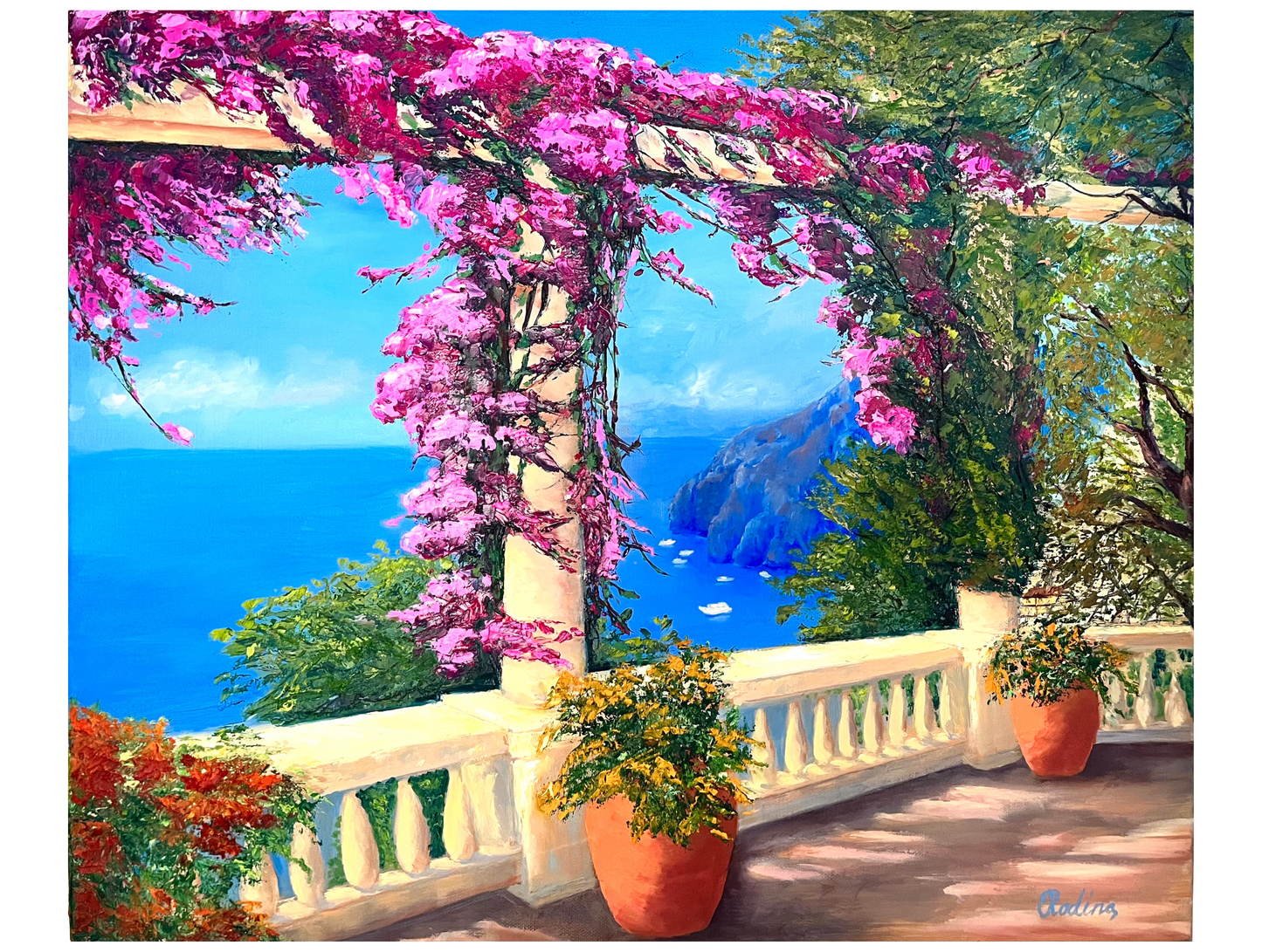 Bougainville Bloom in Mallorca